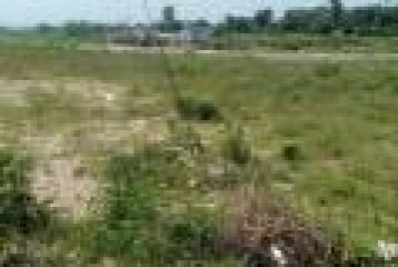 100 Square Yard Residential Plots On Sale At Shankarpur,Selaqui Dehradun
